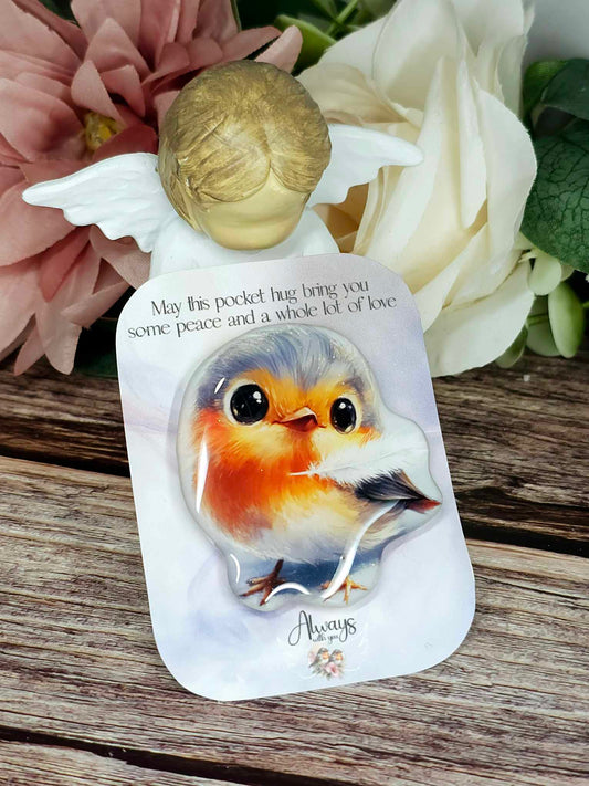 Robin Pocket Hug with Backing Card